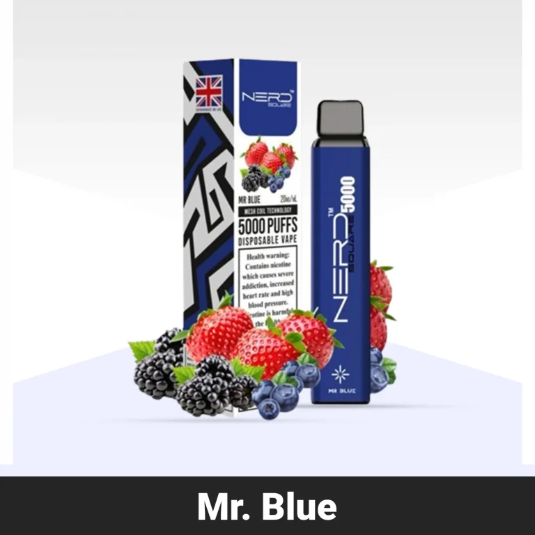 Nerd Square 5000 Mr. Blue Disposable Vape in Dubai